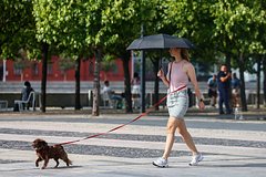 В Москве объявили оранжевый уровень опасности из-за сильной жары
