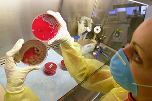 11-летний мальчик искупался в бассейне в Европе и не выжил из-за пожирающей мозг амебы