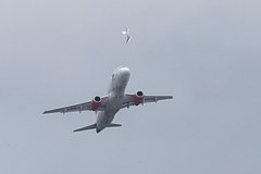 Две российские авиакомпании возобновят полеты в Израиль