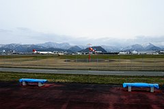 Медведь вышел на взлетную полосу аэропорта и вызвал массовые отмены рейсов