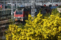 Одна страна Европы стала высаживать россиян из поездов на пути в Калининград