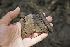 Потерянный гигантом две тысячи лет назад ботинок нашли в болоте