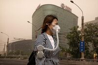 Потерянный гигантом две тысячи лет назад ботинок нашли в болоте