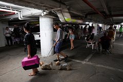 Ракетные удары парализовали Тель-Авив