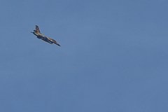 Раскрыты опасения США относительно ответа Ирана на возможную атаку Израиля