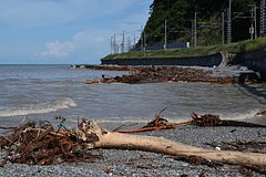 Россиянам временно запретили купаться на пляжах одного курорта