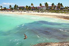 Россиянка описала отдых в люксовом отеле на Кубе словами &laquo;отношение будто свинюшек кормят&raquo;