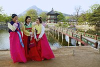 Россиянка описала поездку в Южную Корею фразой &laquo;валяется мусор, пахнет помоями&raquo;