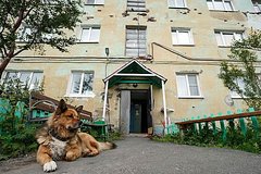 Россиянка пожила за границей и описала порядки на родине словами &laquo;противно вспоминать&raquo;