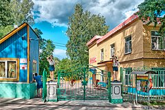 Российские шестиклассники захотели сбежать из детского лагеря и приняли таблетки