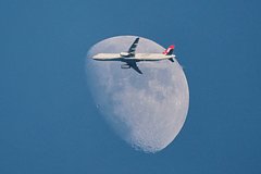 Самолет с россиянами на борту объявил аварийную тревогу в небе