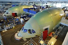 Семейство енотов пробралось на завод и парализовало производство самолетов Airbus