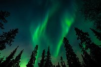 Блогер описал цены в самом дорогом городе России фразой &laquo;сводит челюсти&raquo;