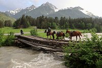 Блогер описал обед в столовой российского курорта фразой &laquo;так дорого я еще не платил&raquo;