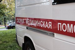 Десятилетняя россиянка отравилась спреем от комаров в детском лагере и не выжила