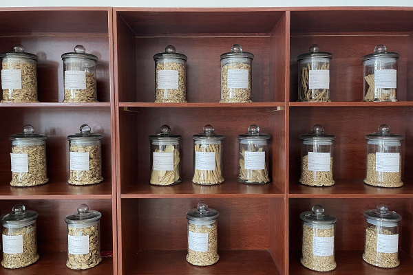 Летящая лошадь, храм-муравейник и лапша. Россияне массово едут в самый закрытый район Китая. Почему там нужно непременно побывать?