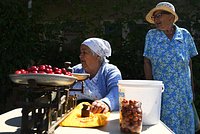 Названа самая подорожавшая в России ягода