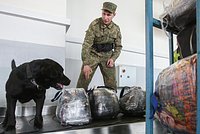 Пенсионера задержали на пароме в Европе с наркотиками на десятки миллионов рублей