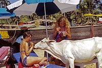 Россиянин описал отношение жителей Вьетнама к туристам фразой &laquo;откровенная наглость&raquo;