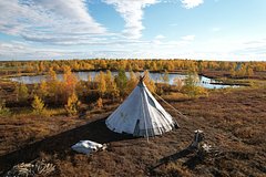 Россиянка описала жизнь пенсионерки в тундре словами &laquo;звучит как дорогой курорт&raquo;