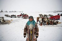 Россиянка описала жизнь пенсионерки в тундре словами &laquo;звучит как дорогой курорт&raquo;