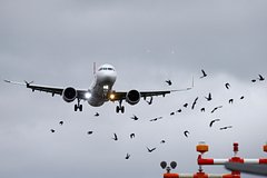 Самолет с россиянами на борту приготовился к экстренной посадке в Москве из-за поломки