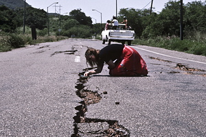 Супермуравьи захватили Европу и добрались еще до одной страны