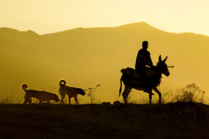 Турист ударил ногой в грудь бронзовую статую за 27 миллионов рублей в Европе и поплатился