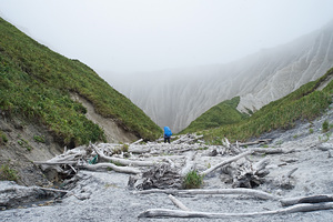 Туристка отправилась в поход с возлюбленным, получила удар веткой по голове и не выжила