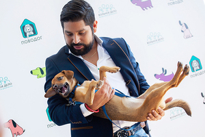 Туристка заперла собаку в шкафчике для хранения вещей и отправилась на экскурсию в Европе