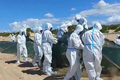 В Анапе преступили к демонтажу защитного вала и очистке пляжей