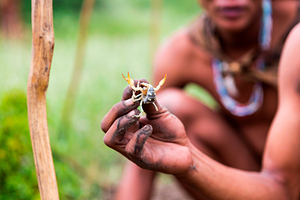 В Австралии змея пробралась к пассажирам в самолет перед вылетом