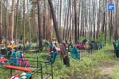 В России отказались убирать горелые деревья с могил бойцов СВО по одной причине