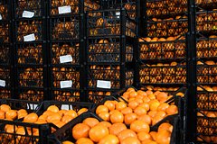 В России планируют аннулировать ряд сертификатов на товары из ЕАЭС