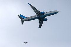 Вылетевший из Москвы самолет вынужденно вернулся в Шереметьево