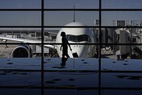 Два российских самолета ушли на второй круг из-за птиц