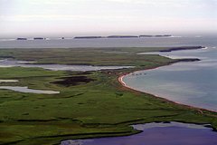 Гиды назвали причину пропажи группы на Итурупе