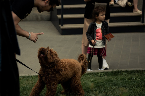 Лучшая музыка, стендап и очень много историй. Что делать на &laquo;Чтиво Фесте&raquo; и почему это лучшее мероприятие для завершения лета?