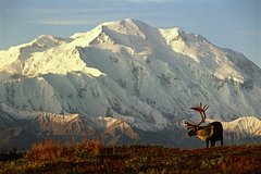 &laquo;Не для слабонервных&raquo;. Путин и Трамп летят на Аляску. Чем это место поражает?