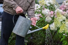 Россиянам рассказали о риске изъятия земельных участков