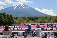 Россияне массово захотели поехать осенью в одну страну Азии