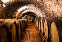 Россиянка обвинила отель в Крыму в пропаже полумиллиона рублей