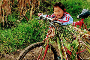 Россиянка описала цены в Гватемале фразой &laquo;не надо экономить на впечатлениях&raquo;