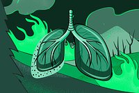 Россиянка отправилась на экскурсию в арабской стране и не выжила