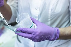 Российские спортсмены объяснили попадание допинга в организм молоком