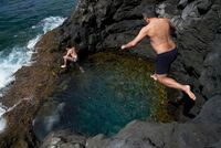 Туристка отправилась на &laquo;сеанс исцеления&raquo; с помощью чая с грибами и не выжила