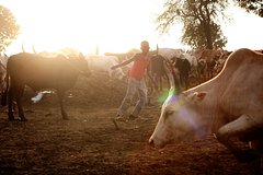 Жители мегаполиса пожаловались на голых любителей кровавых жертвоприношений с барабанами