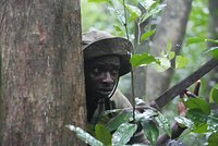 Жители мегаполиса пожаловались на голых любителей кровавых жертвоприношений с барабанами