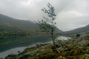 Девушка отправилась с возлюбленным в горы и сорвалась вниз у него на глазах