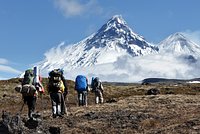 Иностранцы массово устремились в один регион России